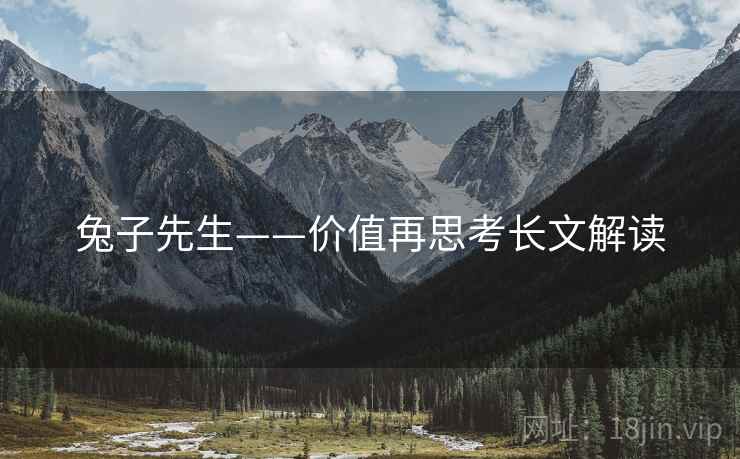 兔子先生——价值再思考长文解读  第2张 兔子先生——价值再思考长文解读  第2张