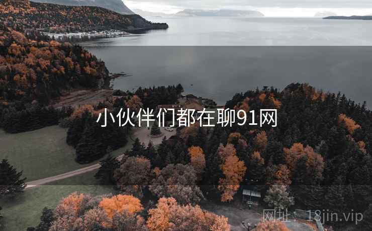 小伙伴们都在聊91网  第2张 小伙伴们都在聊91网  第2张