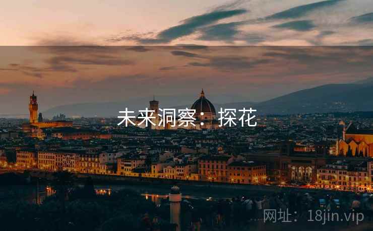 未来洞察：探花  第2张