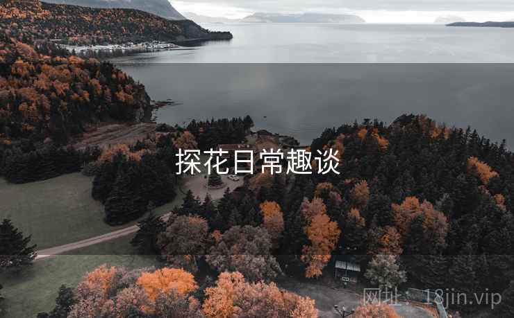 探花日常趣谈  第1张