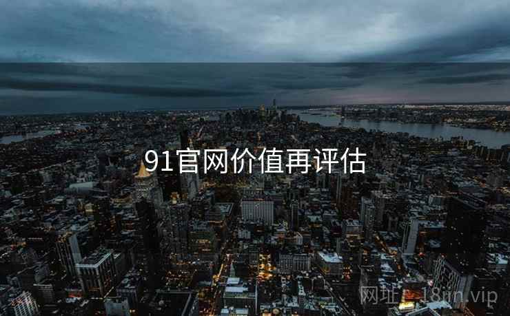 91官网价值再评估  第1张