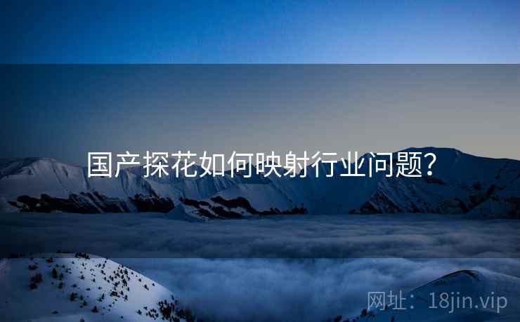 国产探花如何映射行业问题?  第1张 国产探花如何映射行业问题?  第1张