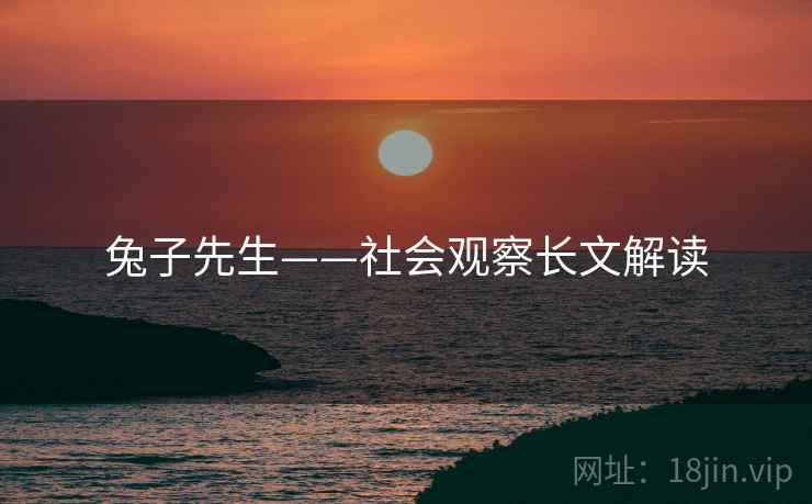 兔子先生——社会观察长文解读  第2张 兔子先生——社会观察长文解读  第2张