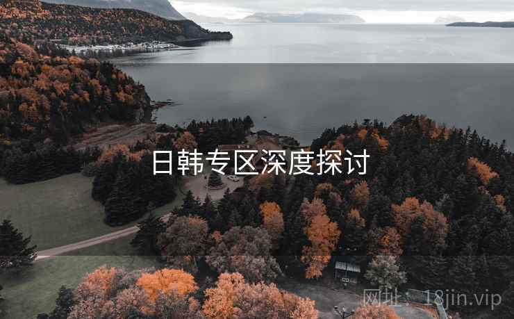日韩专区深度探讨  第1张 日韩专区深度探讨  第1张