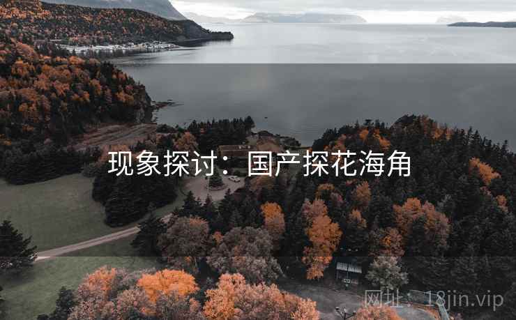 现象探讨:国产探花海角  第2张 现象探讨:国产探花海角  第2张