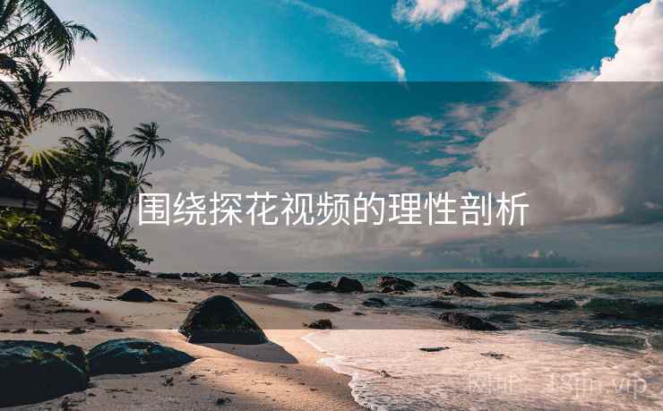围绕探花视频的理性剖析  第1张 围绕探花视频的理性剖析  第1张