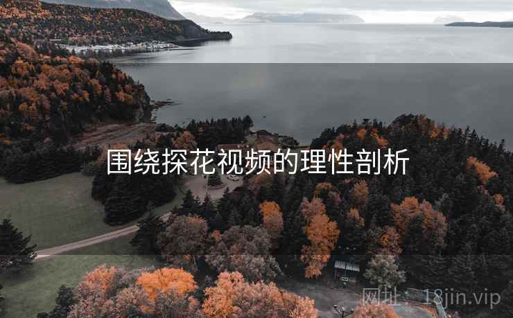 围绕探花视频的理性剖析  第2张 围绕探花视频的理性剖析  第2张