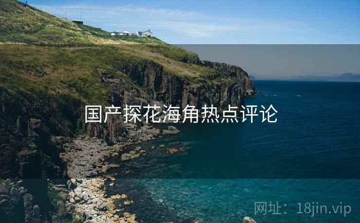 国产探花海角热点评论  第1张 国产探花海角热点评论  第1张