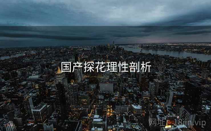 国产探花理性剖析  第2张 国产探花理性剖析  第2张