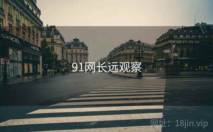 91网长远观察  第1张 91网长远观察  第1张